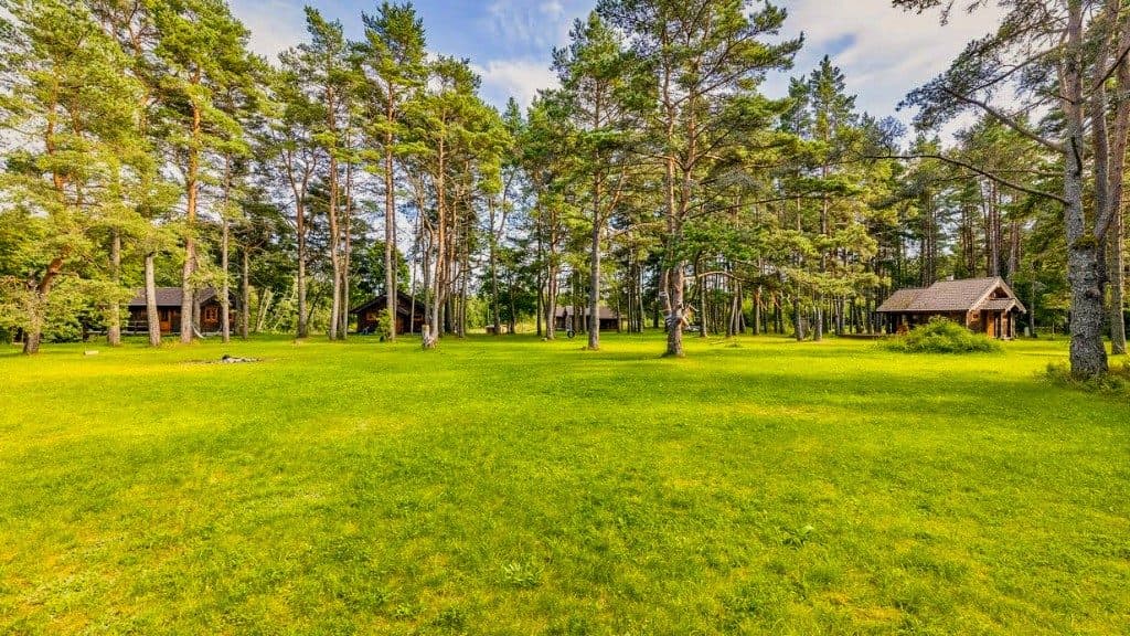 Männi puhkemaja valgusküllane elutuba