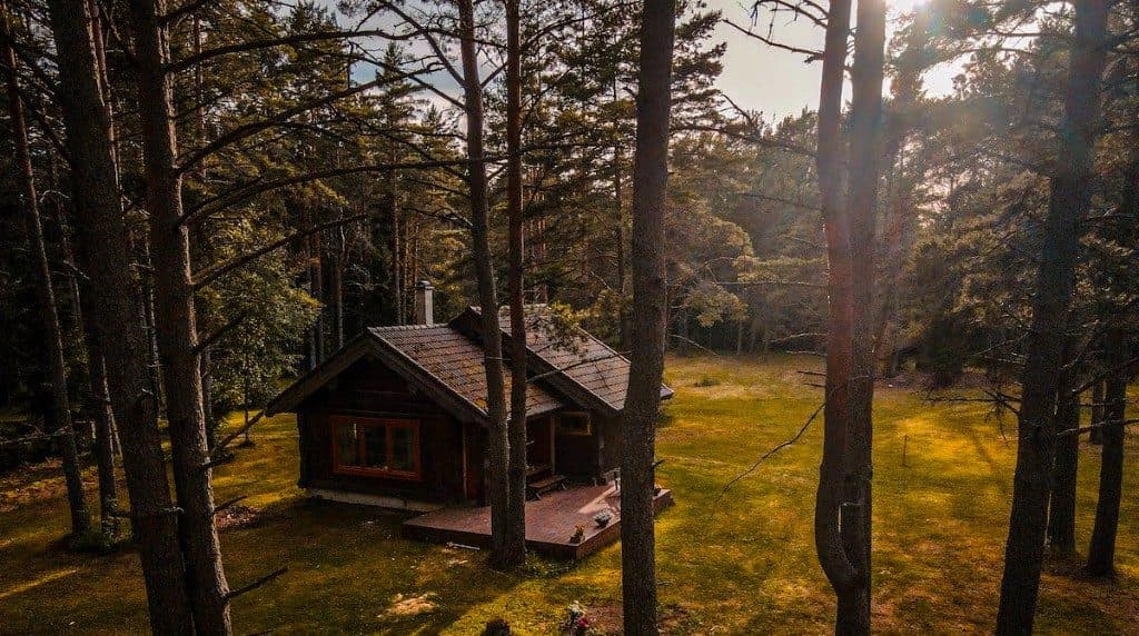 Männi puhkemaja valisvaade männimetsa keskel