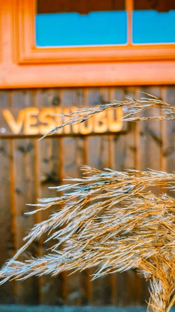 Vesihobu puhkemaja silt ja looduslik kõrredetail